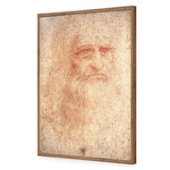 Renaissance Man By Leonardo Da Vinci