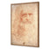 Renaissance Man By Leonardo Da Vinci