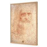 Renaissance Man By Leonardo Da Vinci