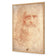 Renaissance Man By Leonardo Da Vinci