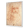 Renaissance Man By Leonardo Da Vinci