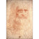 Renaissance Man By Leonardo Da Vinci
