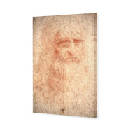 Renaissance Man By Leonardo Da Vinci