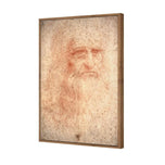 Renaissance Man By Leonardo Da Vinci