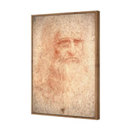 Renaissance Man By Leonardo Da Vinci