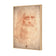 Renaissance Man By Leonardo Da Vinci