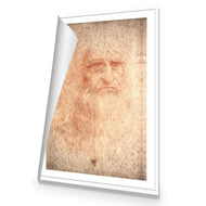 Renaissance Man By Leonardo Da Vinci