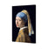 Girl with Pearl Earring - Vermeer