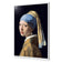 Girl with Pearl Earring - Vermeer