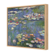 Red Water Lilies (shelved)