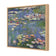 Red Water Lilies (stock)