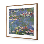 Red Water Lilies by Monet
