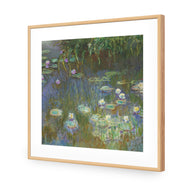 White and Purple Water Lilies by Monet