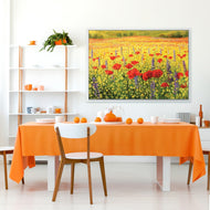 Poppy Impressionism