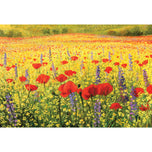 Poppy Impressionism