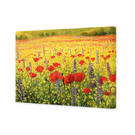Poppy Impressionism