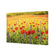 Poppy Impressionism