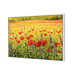 Poppy Impressionism