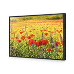 Poppy Impressionism