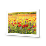 Poppy Impressionism