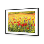 Poppy Impressionism