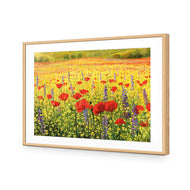 Poppy Impressionism