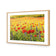 Poppy Impressionism