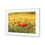 Poppy Impressionism