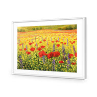 Poppy Impressionism