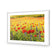Poppy Impressionism