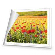Poppy Impressionism