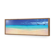 Beach Dream