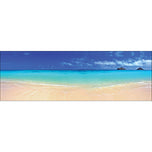Beach Dream