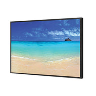 Beach Dream