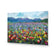 Forever Flowers