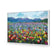 Forever Flowers