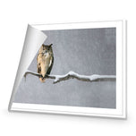 Eurasian Eagle Owl