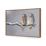 Ural Owl Pair