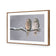 Ural Owl Pair