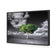 Green Tree of Life I