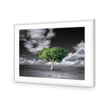 Green Tree of Life I