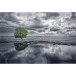 Green Tree of Life II