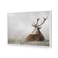 Stag in Lightness