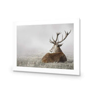 Stag in Lightness