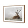 Stag in Lightness