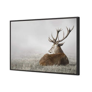 Stag in Lightness
