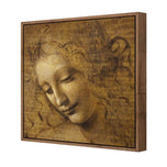 The Head of a Woman by Leonardo da Vinci