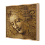 The Head of a Woman by Leonardo da Vinci
