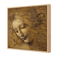 The Head of a Woman by Leonardo da Vinci