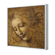 The Head of a Woman by Leonardo da Vinci